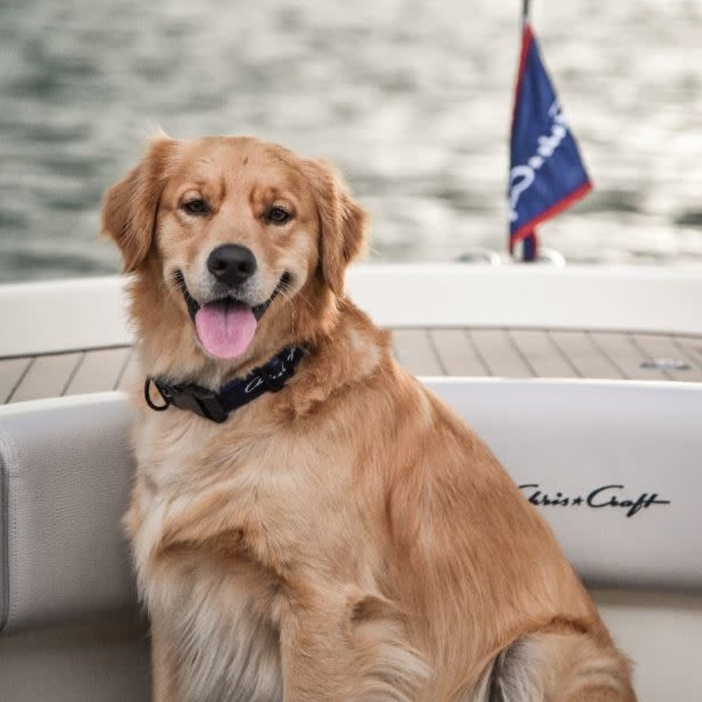 Chris-Craft Dog Collar